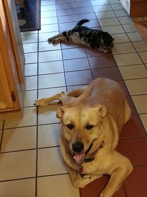 Hunter et Mai Mai