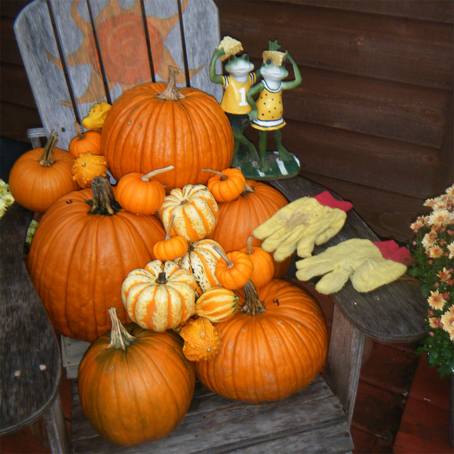 Yellow Gloves Season With Pumpkins