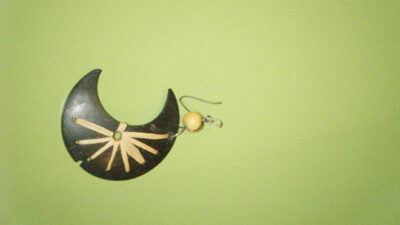 The Case of the missing Coconut Earring