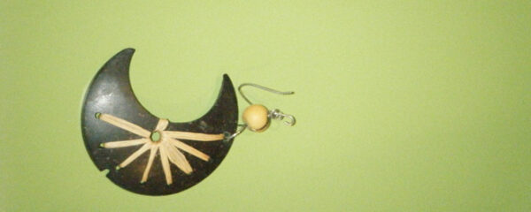 The Case of the missing Coconut Earring
