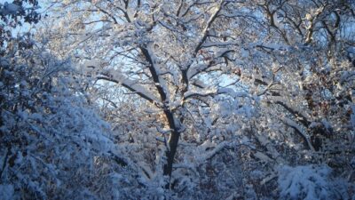 40 BELOW AND HOLDING STEADY