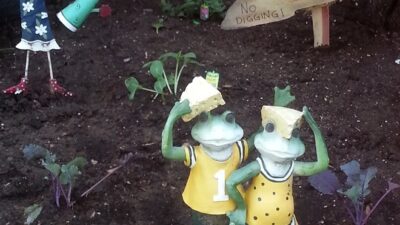 Gardening Tips from Millie and Sven – Part II