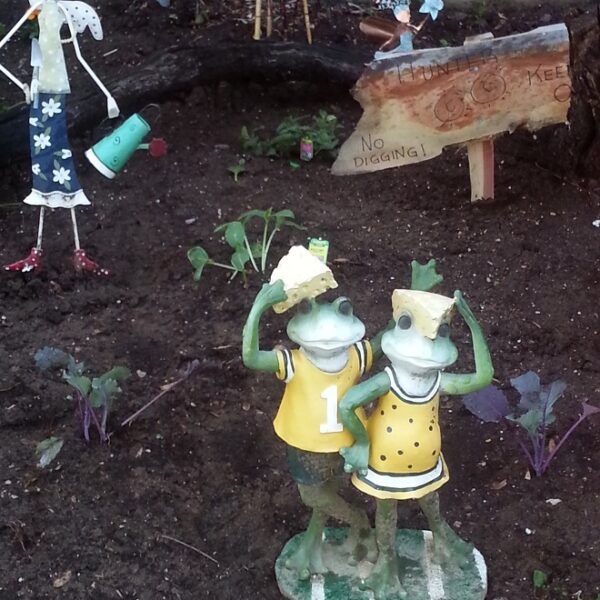 Gardening Tips from Millie and Sven – Part II