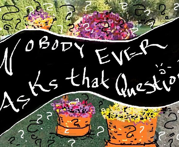 Nobody Ever Asks That Question