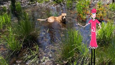 The Pretty Pond