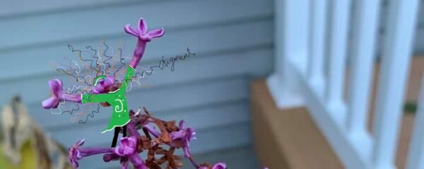Last Bloom