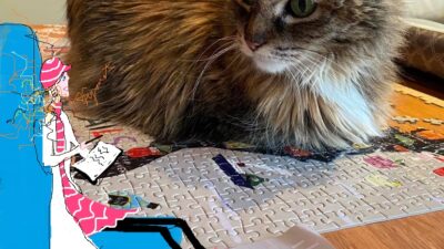 Cat Talk