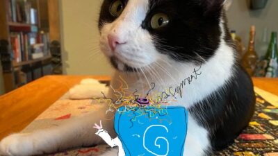 Cat Talk with Tuna
