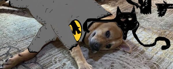 Bark Man Adds Sling to Arsenal