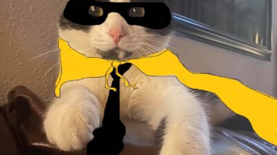 Tuxedo Boy Tells All
