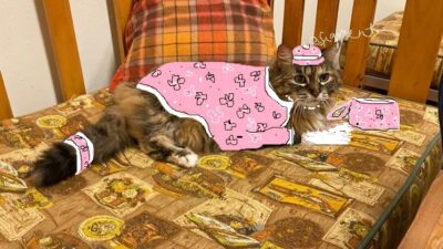 Grandma Meow Moses