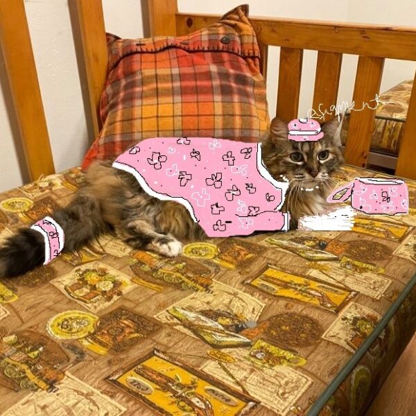 Grandma Meow Moses