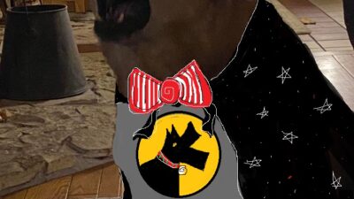 Bark Man Has Something to Sing