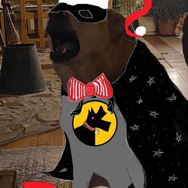 Bark Man Has Something to Sing
