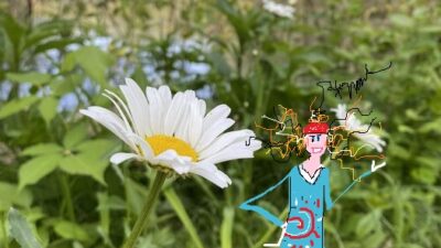 Pond News