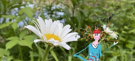 Pond News
