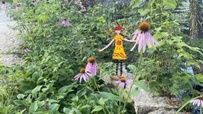 Heat Wave Causes a Dam Truce